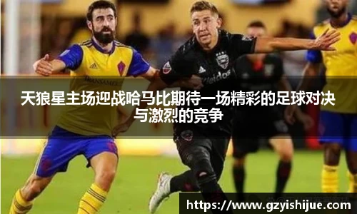 天狼星主场迎战哈马比期待一场精彩的足球对决与激烈的竞争